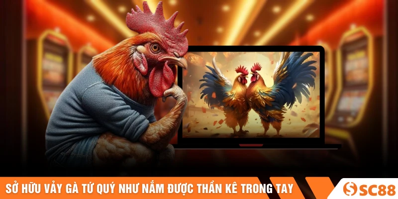 Sở hữu vảy gà tứ quý như nắm được thần kê trong tay